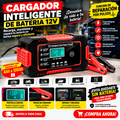 cargador de bateria para coche 12v