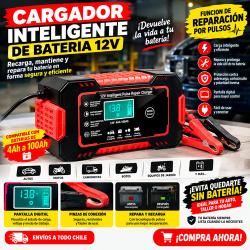 cargador de bateria para coche 12v